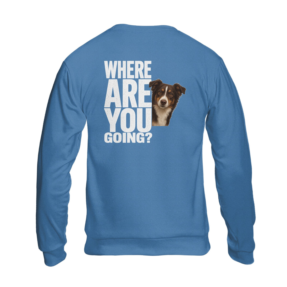Personalized Dog, Dog Father, Custom Photo Dog Unisex Sweatshirt- Where Are You Going Pet Lovers