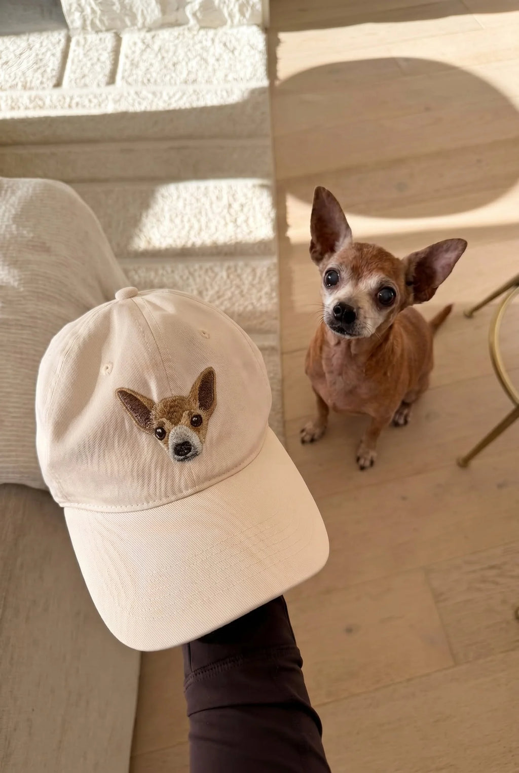Custom Pet Embroidered Cap, Gift For Pet Lovers