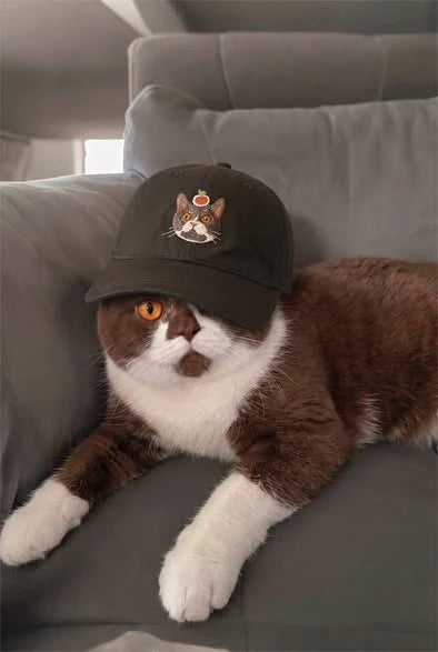 Custom Pet Embroidered Cap, Gift For Pet Lovers